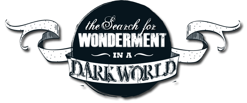 The Search for Wonderment in a Dark World
